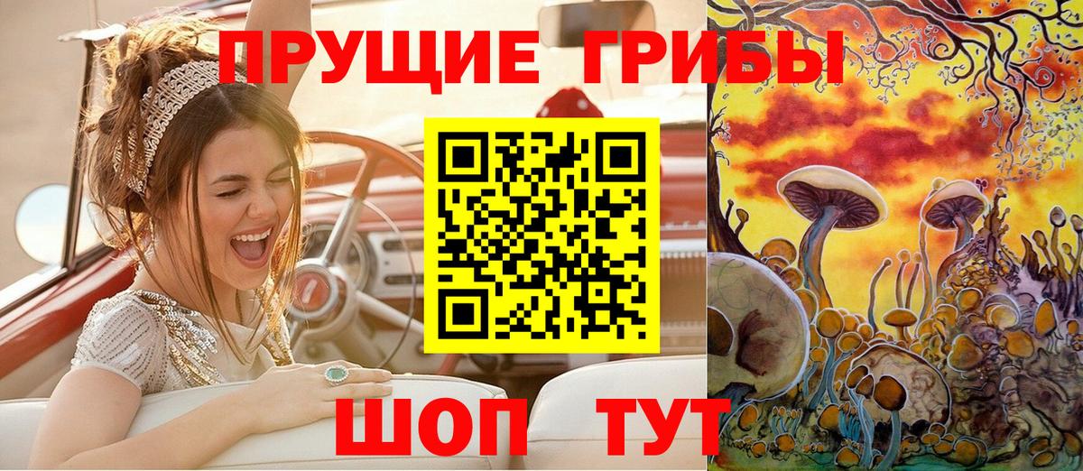 Псилоцибиновые грибы Cubensis  Вход с VPN  Галлюциногенные грибы прущие грибы  Павловский Посад 